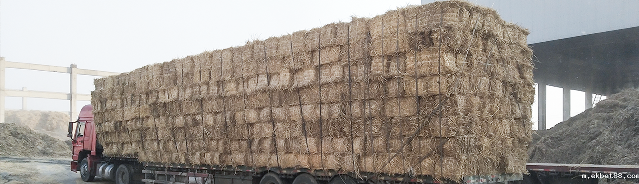 大型稻草捆撕碎机 大型稻草捆撕碎机